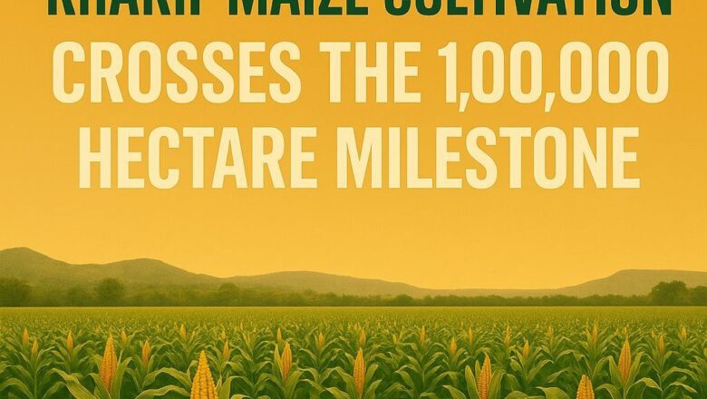 ਪੰਜਾਬ ਦੇ ਖੇਤਾਂ ’ਚ ਨਵੀਂ ਲਹਿਰ :ਮਾਨ ਸਰਕਾਰ ਦੀ ਕੋਸ਼ਿਸ਼ ਨਾਲ ਕਿਸਾਨਾਂ ਨੇ ਮੱਕੀ ਵੱਲ ਵਧਾਇਆ ਰੁਝਾਨ