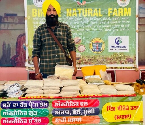 ਬੀਰੋਕੇ ਦੇ ਕਿਸਾਨ ਨੇ 12 ਸਾਲ ਤੋਂ ਪਰਾਲੀ ਨੂੰ ਨਹੀਂ ਲਾਈ ਅੱਗ; ਲਾਗਤ ਘਟੀ, ਮਿੱਟੀ ਦੀ ਸਿਹਤ ਸੁਧਰੀ