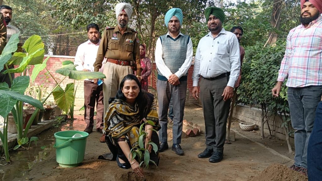 WhatsApp Image 2025 11 19 at 2.31.40 PM