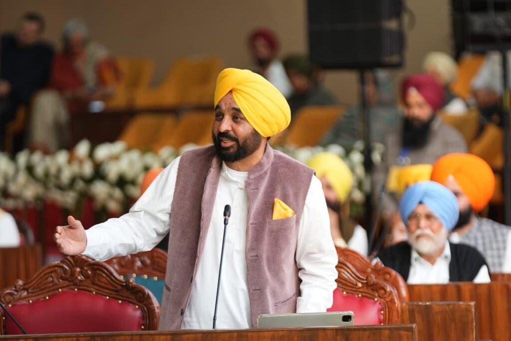 WhatsApp Image 2025 11 24 at 6.18.17 PM (1)