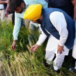 ਮਾਨ ਸਰਕਾਰ ਦੀ ਇਤਿਹਾਸਕ ਪ੍ਰਾਪਤੀ; 11 ਲੱਖ ਤੋਂ ਵੱਧ ਕਿਸਾਨਾਂ ਨੂੰ ਮਿਲਿਆ MSP ਲਾਭ