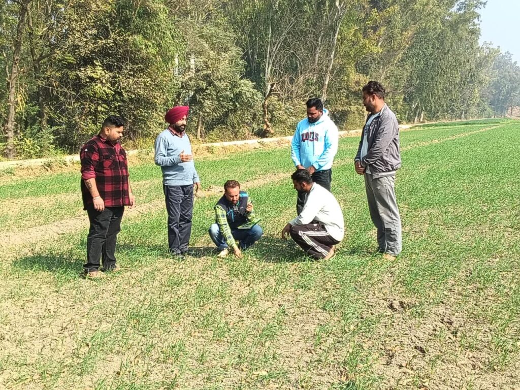 Pic 11 12 2025 (2) (1)