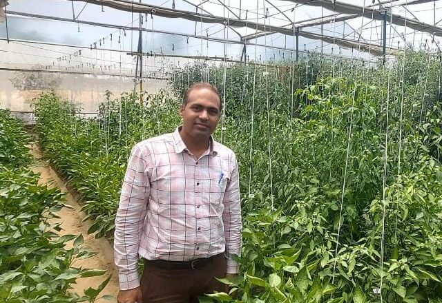 ਖੇਤੀ ਵਿਭਿੰਨਤਾ ਨੂੰ ਉਤਸ਼ਾਹਿਤ ਕਰਨ ਲਈ ਕਿਸਾਨਾਂ ਨੂੰ ਦਿੱਤੀ ਜਾਵੇਗੀ ਵੱਖ- ਵੱਖ ਸਕੀਮਾਂ ਅਧੀਨ ਵਿੱਤੀ ਸਹਾਇਤਾ