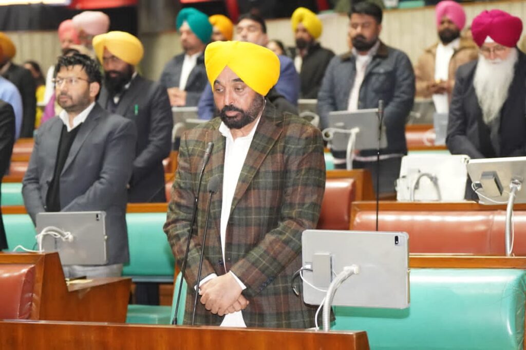 WhatsApp Image 2025 12 30 at 3.28.16 PM (1)