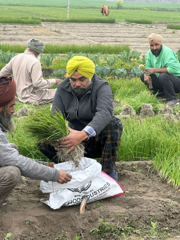 WhatsApp Image 2026 01 07 at 11.44.48 AM