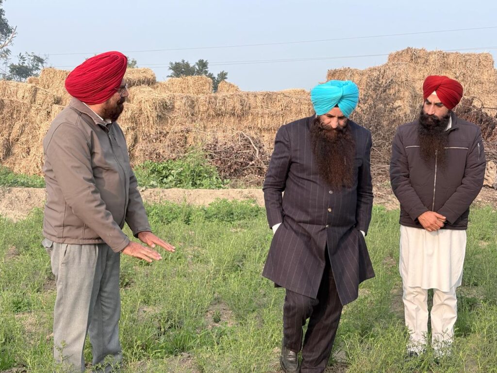 WhatsApp Image 2026 01 14 at 11.52.27 AM (1)