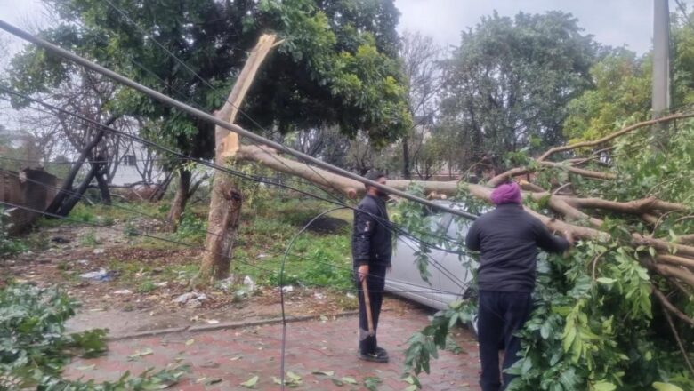 ਪੀ.ਐਸ.ਪੀ.ਸੀ.ਐਲ. ਸਟਾਫ਼ ਬਿਜਲੀ ਸਪਲਾਈ ਦੀ ਬਹਾਲੀ ਲਈ 24 ਘੰਟੇ ਸਰਗਰਮ