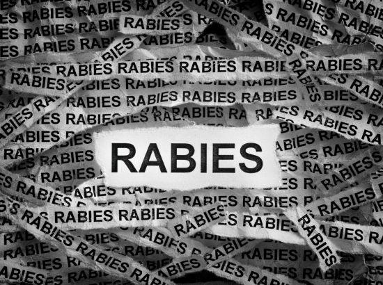 Babushahi updates (84)