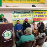 ਤੇਲ ਬੀਜ ਦੀ ਮਹੱਤਤਾ ਅਤੇ ਮੰਗ ਦੀ ਪੂਰਤੀ ਲਈ ਤੇਲ ਬੀਜ ਫਸਲਾਂ ਹੇਠ ਰਕਬਾ ਵਧਾਉਣ ਦੀ ਲੋੜ