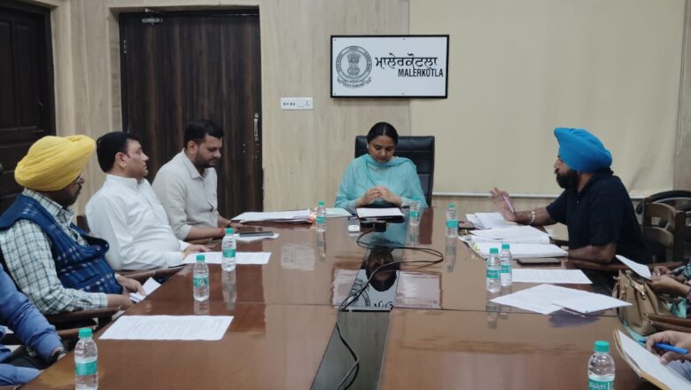 ਦਿਵਿਆਂਗ ਅਤੇ ਸੀਨੀਅਰ ਸਿਟੀਜਨ ਵੋਟਰਾਂ ਲਈ ਸਹੂਲਤਾਂ ਸੰਬੰਧੀ ਜ਼ਿਲ੍ਹਾ ਪੱਧਰੀ ਕਮੇਟੀ ਦੀ ਬੈਠਕ