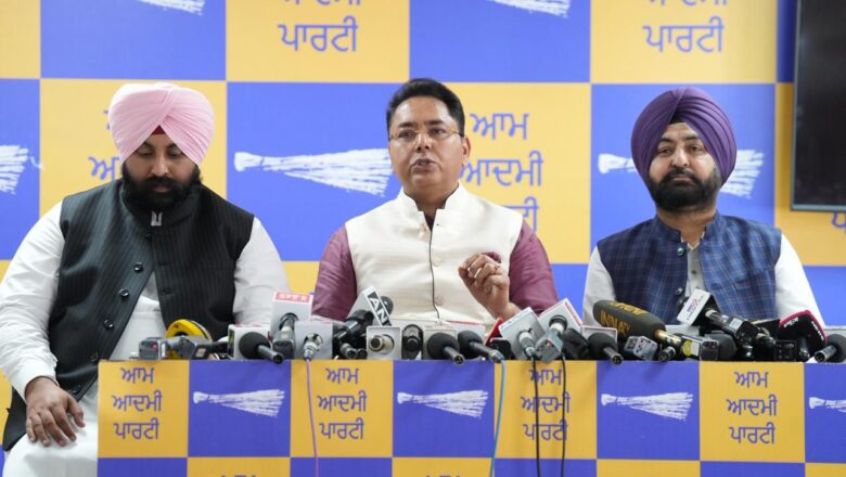 ਸੱਚ ਦੀ ਜਿੱਤ ਹੋਈ: ਭਾਜਪਾ ਨੂੰ ਅਰਵਿੰਦ ਕੇਜਰੀਵਾਲ ਵਿਰੁੱਧ ਸਾਜ਼ਿਸ਼ ਲਈ ਦੇਸ਼ ਤੋਂ ਮਾਫੀ ਮੰਗਣੀ ਚਾਹੀਦੀ ਹੈ: ਅਮਨ ਅਰੋੜਾ