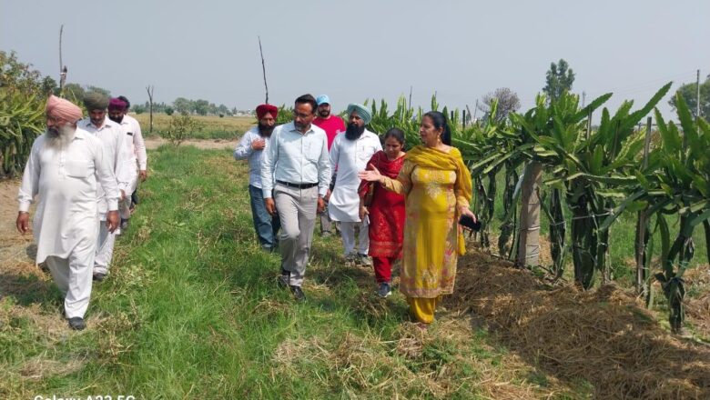 ਪੰਜਾਬ – ਨਾਬਾਰਡ ਵੱਲੋਂ ਵਿੱਤਪੋਸ਼ਿਤ ਪ੍ਰੋਜੈਕਟ ਦੇ ਤਹਿਤ ਕਿਸਾਨਾਂ ਦਾ ਇੱਕ ਐਕਸਪੋਜ਼ਰ ਦੌਰਾ
