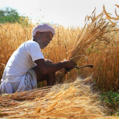 ਹਰਿਆਣਾ ਦੀਆਂ ਮੰਡੀਆਂ ਵਿੱਚ 1 ਅਪ੍ਰੈਲ ਤੋਂ 15 ਮਈ ਤੱਕ ਹਾੜੀ ਦੀ ਖਰੀਦ ਲਈ ਪ੍ਰਬੰਧ ਕੀਤੇ ਗਏ ਹਨ