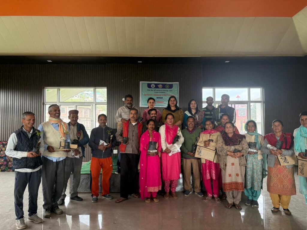 WhatsApp Image 2026 03 24 at 16.13.14