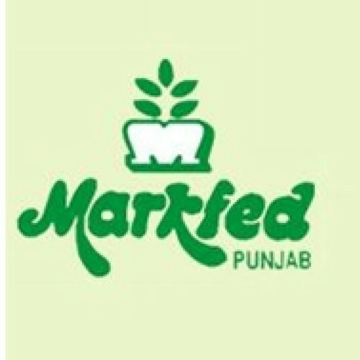 307867415 587978579783170 6048411488422683414 n