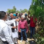 ਕੈਬਨਿਟ ਮੰਤਰੀ ਬਰਿੰਦਰ ਕੁਮਾਰ ਗੋਇਲ ਨੇ ਘੱਗਰ ਦਰਿਆ ਦੇ ਕਿਨਾਰਿਆਂ ਦੀ ਮਜ਼ਬੂਤੀ ਲਈ ਚੱਲ ਰਹੇ ਕਾਰਜਾਂ ਦਾ ਲਿਆ ਜਾਇਜ਼ਾ