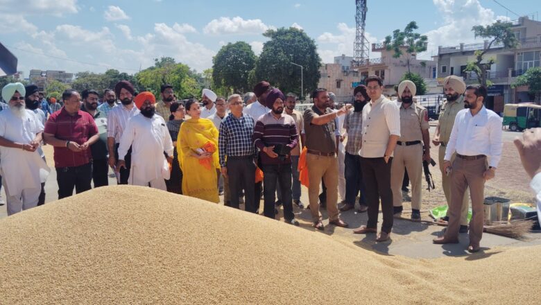 ਡਿਪਟੀ ਕਮਿਸ਼ਨਰ ਵੱਲੋਂ ਰੂਪਨਗਰ ਅਨਾਜ ਮੰਡੀ ਦਾ ਅਚਨਚੇਤ ਦੌਰਾ