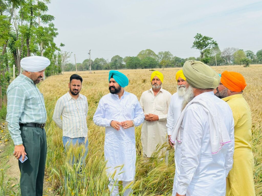 WhatsApp Image 2026 04 01 at 4.56.49 PM