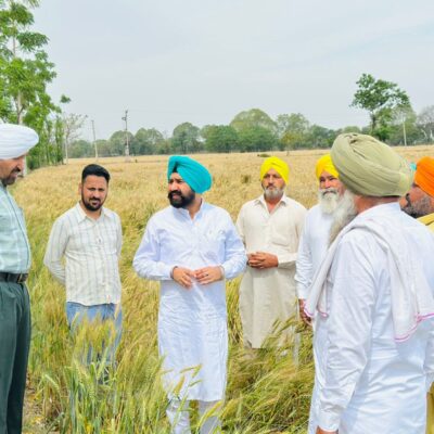 ਵਿਧਾਇਕ ਗੁਰਪ੍ਰੀਤ ਸਿੰਘ ਬਣਾਂਵਾਲੀ ਵੱਲੋਂ ਸਰਦੂਲਗੜ੍ਹ ਦੇ ਗੜੇਮਾਰੀ ਪ੍ਰਭਾਵਿਤ ਪਿੰਡਾਂ ਦਾ ਦੌਰਾ