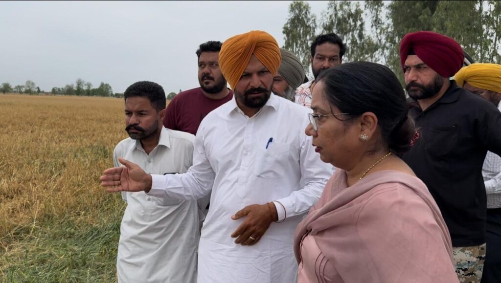 WhatsApp Image 2026 04 02 at 9.10.48 AM