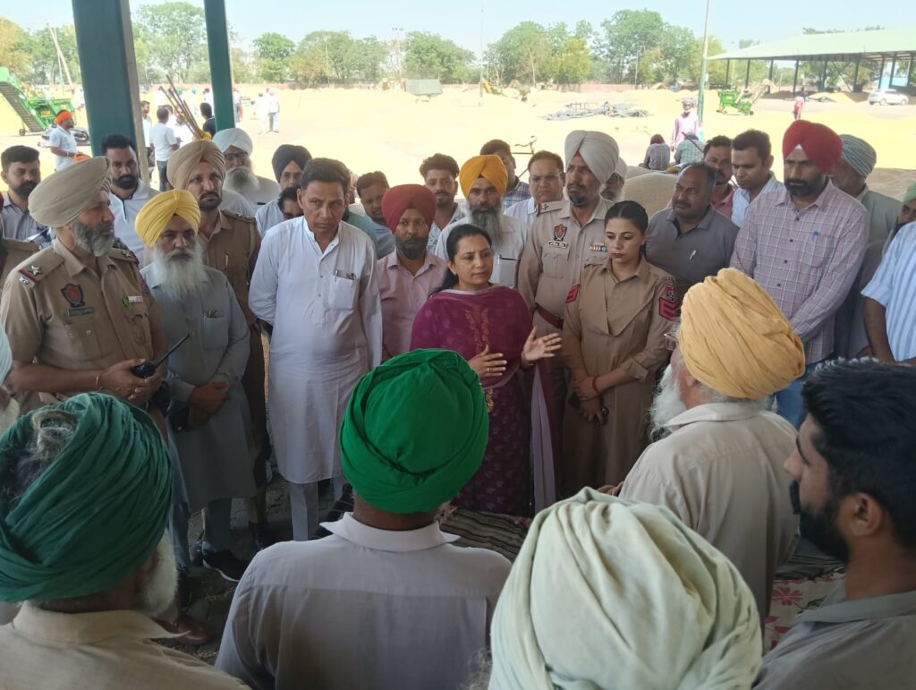 WhatsApp Image 2026 04 14 at 1.51.11 PM