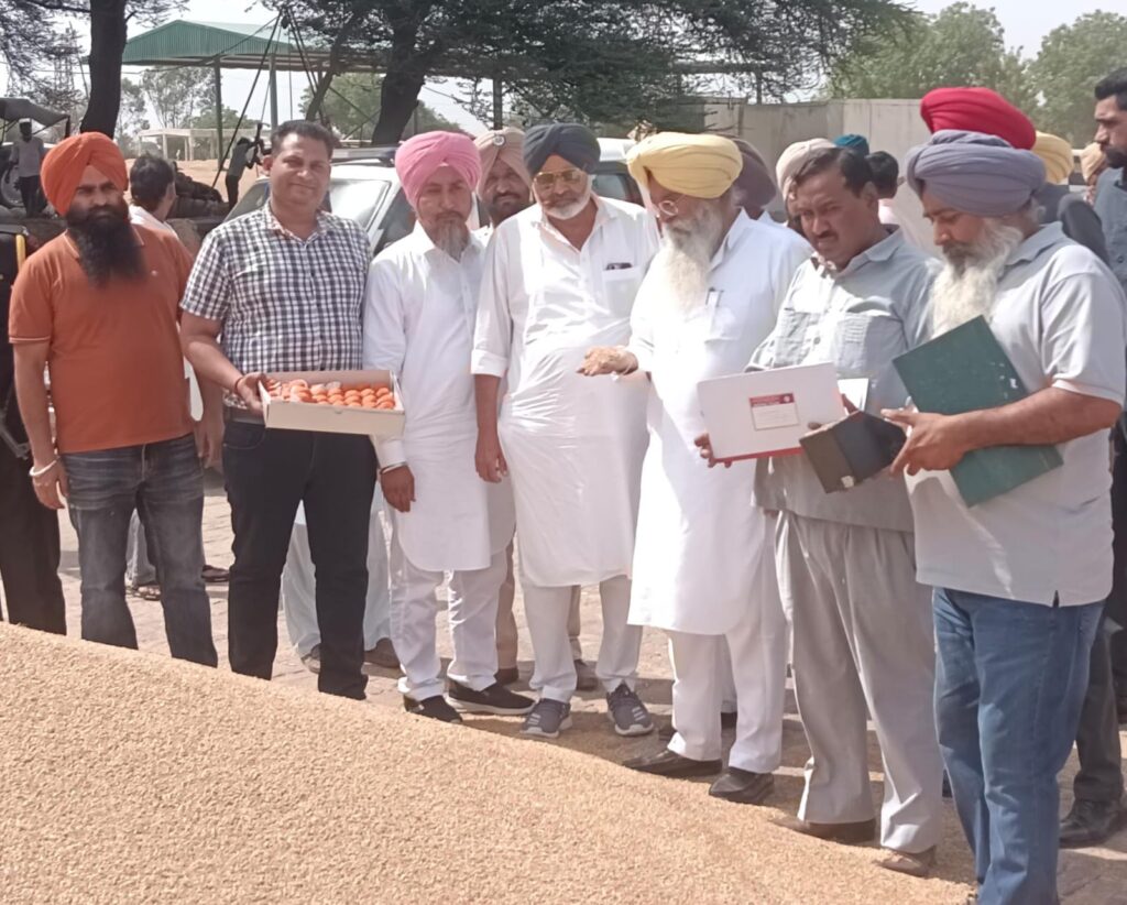 WhatsApp Image 2026 04 16 at 2.49.55 PM