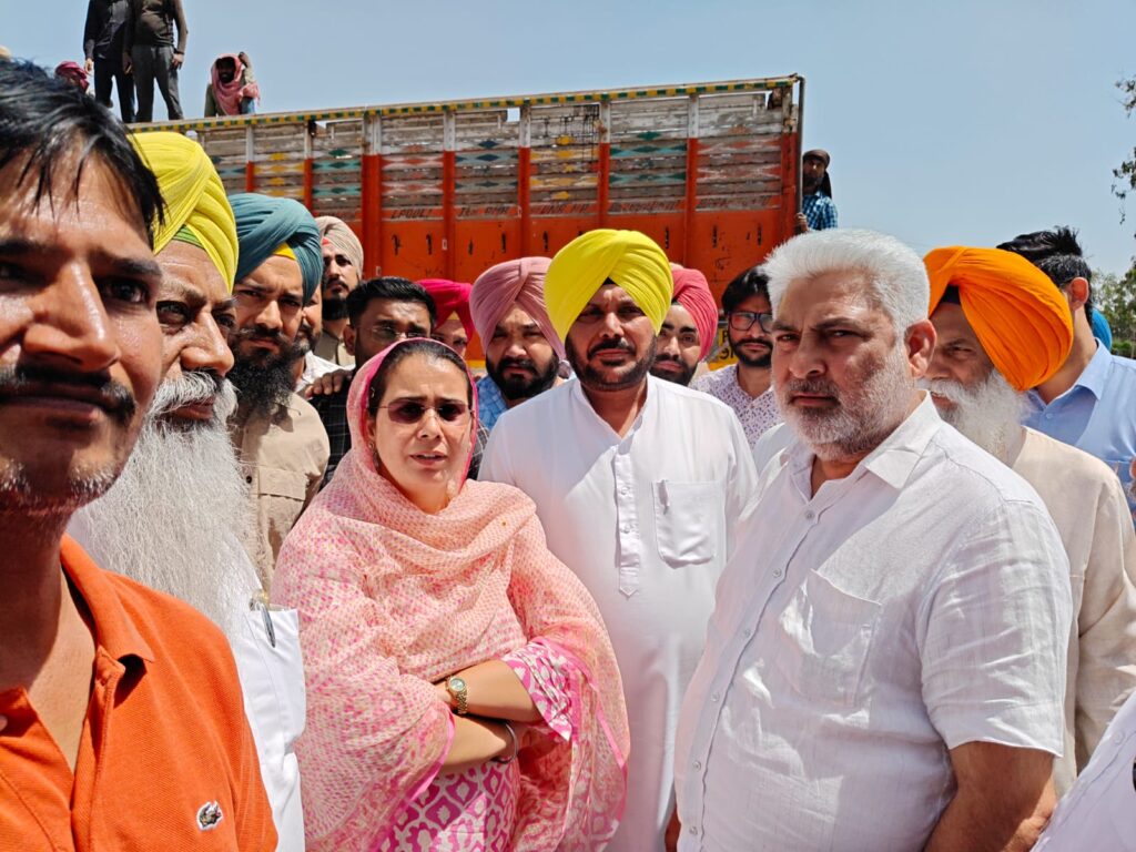 WhatsApp Image 2026 04 20 at 6.00.15 AM