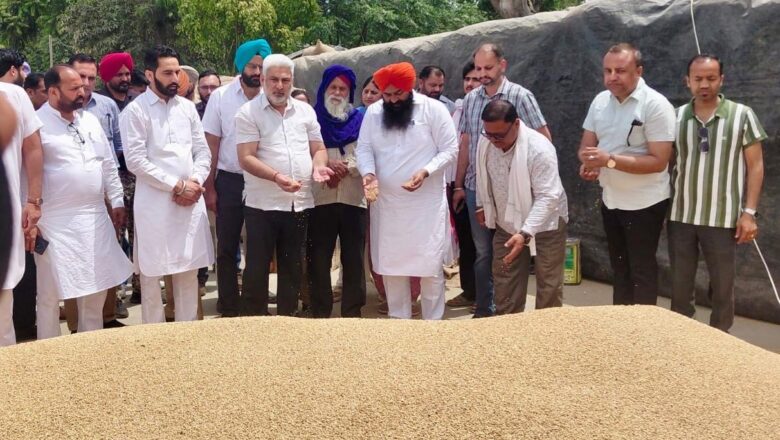 ਪੰਜਾਬ ਦੀਆਂ ਮੰਡੀਆਂ ‘ਚ 28 ਲੱਖ ਮੀਟਰਿਕ ਟਨ ਕਣਕ ਦੀ ਆਮਦ, 24 ਲੱਖ ਮੀਟਰਿਕ ਟਨ ਤੋਂ ਵੱਧ ਦੀ ਖ਼ਰੀਦ : ਲਾਲ ਚੰਦ ਕਟਾਰੂਚੱਕ