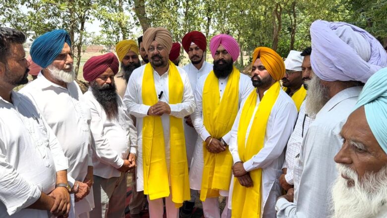 2.30 ਕਰੋੜ ਰੁਪਏ ਦੇ ਵਿਕਾਸ ਕਾਰਜਾਂ ਦੀ ਵਿਧਾਇਕ ਕੁਲਵੰਤ ਸਿੰਘ ਪੰਡੋਰੀ ਅਤੇ ਚੇਅਰਮੈਨ ਦਲਵੀਰ ਸਿੰਘ ਢਿੱਲੋਂ ਵੱਲੋਂ ਸ਼ੁਰੂਆਤ