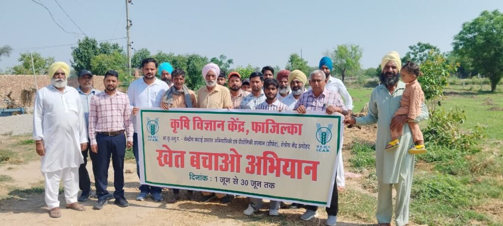 1 (1)