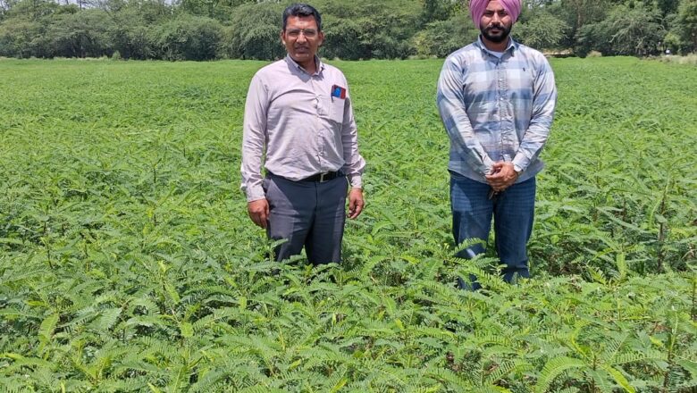 ਸਿਹਤਮੰਦ ਮਿੱਟੀ ਅਤੇ ਟਿਕਾਊ ਖੇਤੀ ਲਈ ਜੀਵਾਣੂੰ ਖਾਦਾਂ ਨੂੰ ਅਪਣਾਉਣ ਕਿਸਾਨ: ਡਾ. ਗਰਗ
