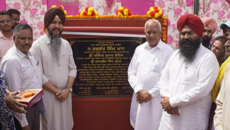 ਮਾਨ ਸਰਕਾਰ ਸਿੰਚਾਈ ਲਈ 100 ਫ਼ੀਸਦੀ ਨਹਿਰੀ ਪਾਣੀ ਟੇਲਾਂ ਤੱਕ ਪਹੁੰਚਾਏਗੀ: ਬਰਿੰਦਰ ਕੁਮਾਰ ਗੋਇਲ