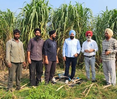 ਗੰਨੇ ਦੀ ਪ੍ਰਤੀ ਹੈਕਟੇਅਰ ਪੈਦਾਵਾਰ ਵਧਾਉਣ ਲਈ ਨਵੀਨਤਮ ਤਕਨੀਕਾਂ ਅਪਣਾਉਣ ਦੀ ਲੋੜ: ਕੇਨ ਕਮਿਸ਼ਨਰ