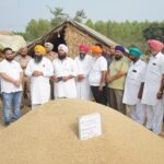ਕਿਸਾਨਾਂ ਦੀ ਫ਼ਸਲ ਦਾ ਇੱਕ-ਇੱਕ ਦਾਣਾ ਖਰੀਦਣ ਲਈ ਮਾਨ ਸਰਕਾਰ ਵਚਨਬੱਧ: ਡਿਪਟੀ ਸਪੀਕਰ ਰੌੜੀ